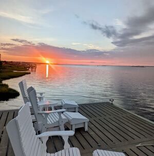 Meet your Posher, Riley